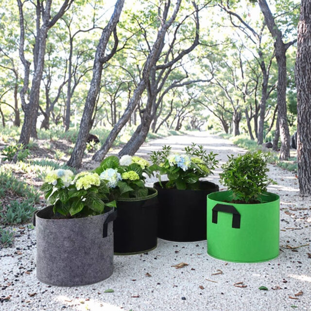 Biodegradable thickened fabric grow bag for sustainable gardening