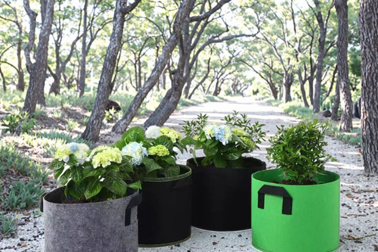 Eco-friendly biodegradable fabric grow bag for vegetables and flowers (5) Biodegradable thickened fabric grow bag for sustainable gardening