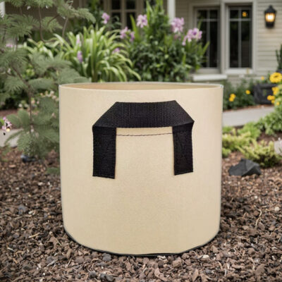 Biodegradable thickened fabric grow bag for sustainable gardening