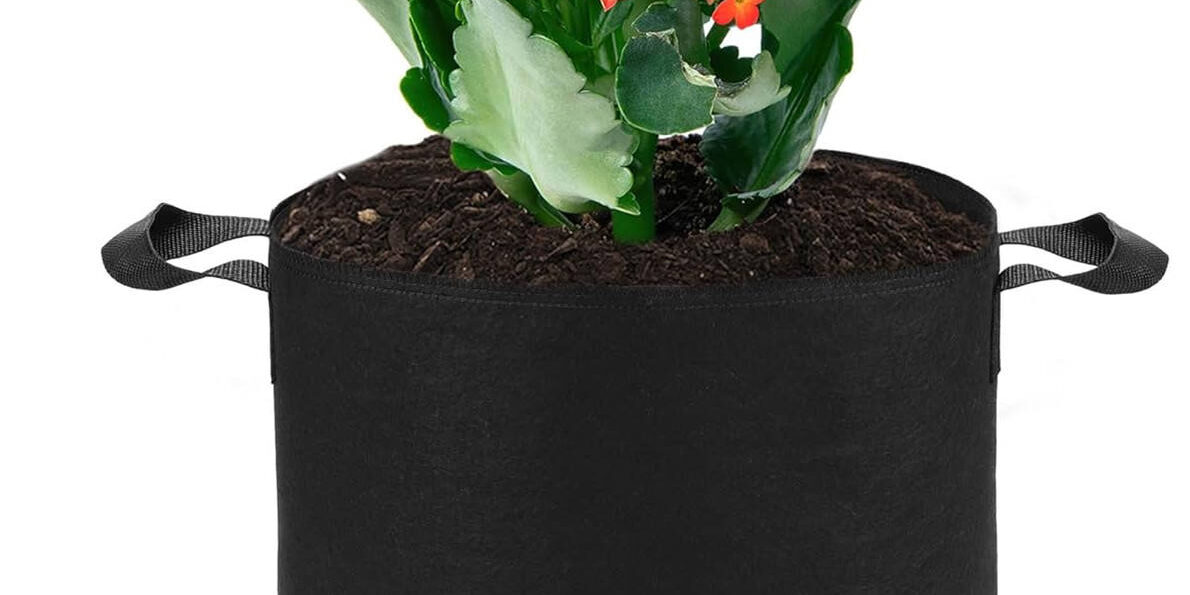 Heavy-duty fabric grow bag for vegetables and flowers (1) Durable fabric grow bag for long-term garden planting