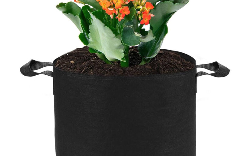 Heavy-duty fabric grow bag for vegetables and flowers (1) Durable fabric grow bag for long-term garden planting