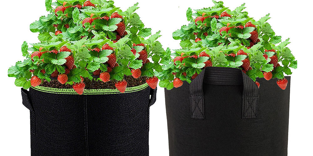 Durable fabric grow bag for long-term garden planting