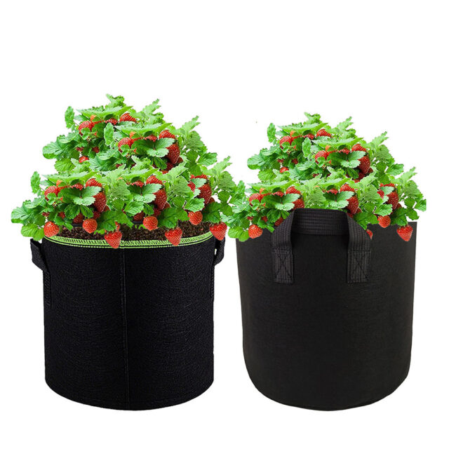 Durable fabric grow bag for long-term garden planting