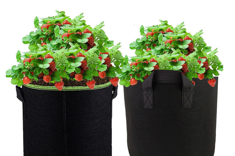 Heavy-duty fabric grow bag for vegetables and flowers (8) Durable fabric grow bag for long-term garden planting