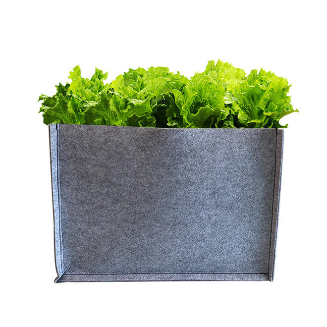 Premium fabric grow bag for flowers and vegetables
