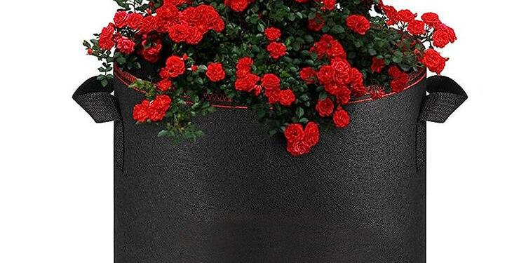 Multi-size fabric grow bag for vegetables and plant gardening