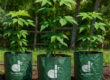 Eco-friendly plastic grow bag for home garden plants