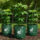 Eco-friendly plastic grow bag for home garden plants