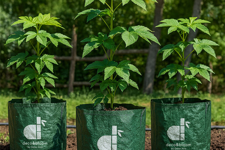 Eco-friendly plastic grow bag for home garden plants