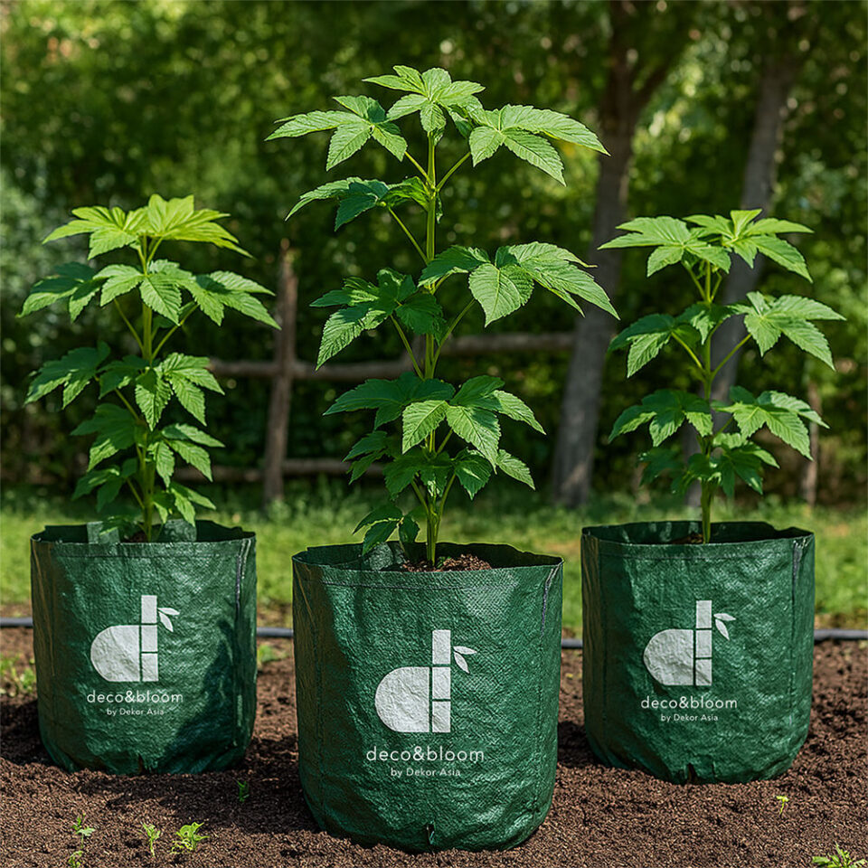 Eco-friendly plastic grow bag for home garden plants