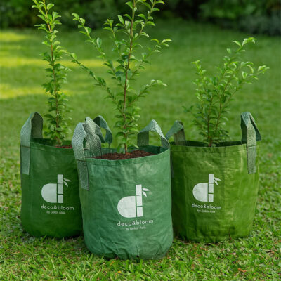 Eco-friendly plastic grow bag for home garden plants
