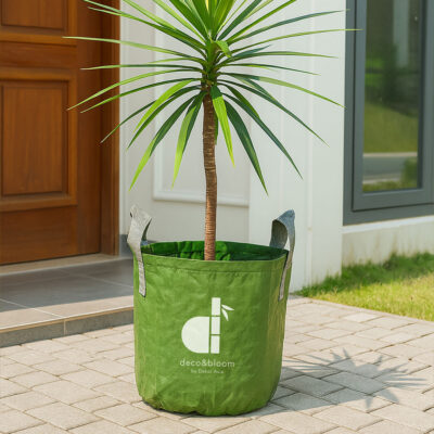 Eco-friendly plastic grow bag for home garden plants