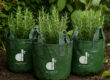 Eco-friendly plastic grow bag for home garden plants