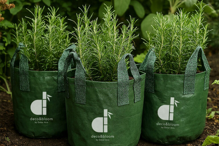 Eco-friendly plastic grow bag for home garden plants