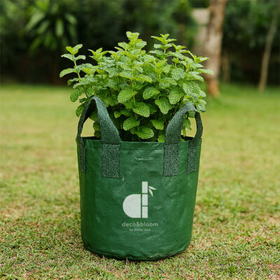 Eco-friendly plastic grow bag for home garden plants