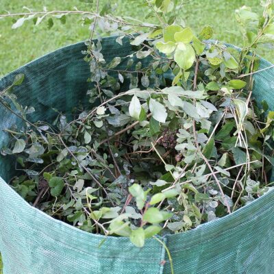 Foldable reusable plastic grow bag for garden use